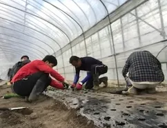 スミールヒュースみすまい