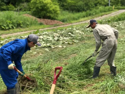 Ｆａｒｍ　Ａｇｒｉｃｏｌａ