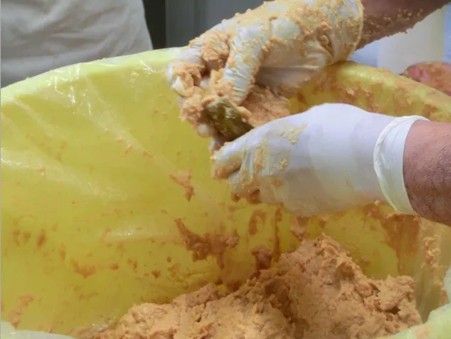 サトニクラス酵房