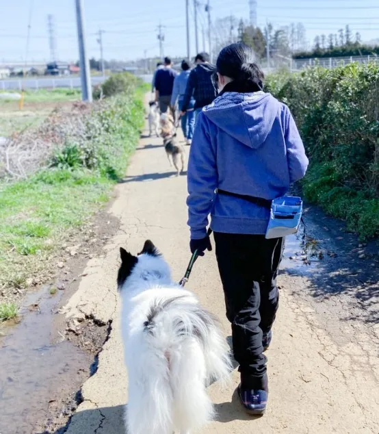 就労継続支援A型キドックス