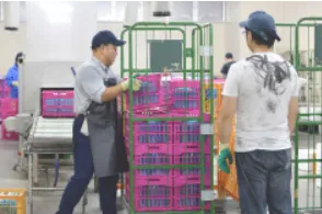 ソーシャルファーム小山