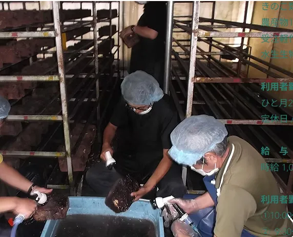 19工房/きのこ栽培農園