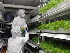 東京都葛飾福祉工場　立石工場