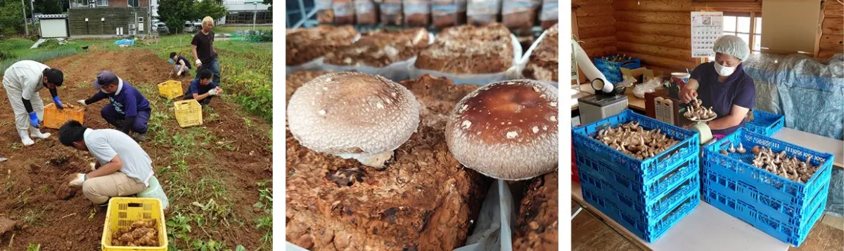 ワークセンター星が岡