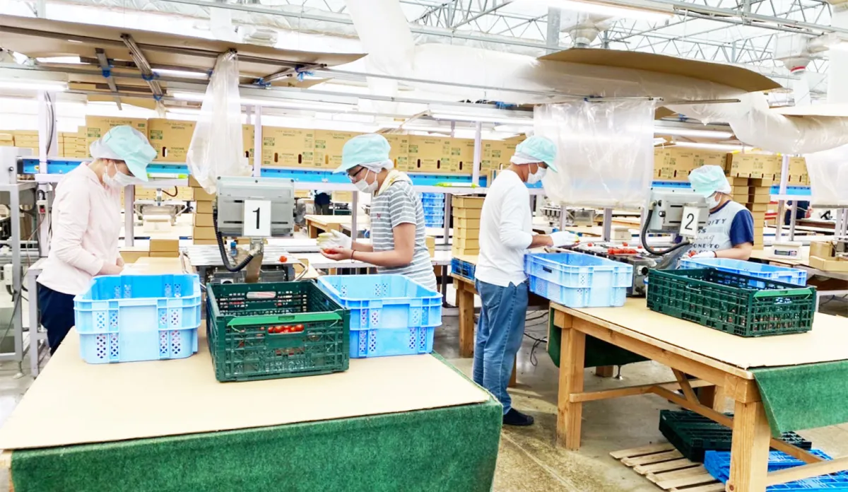 エア・ウォーター・スマイル