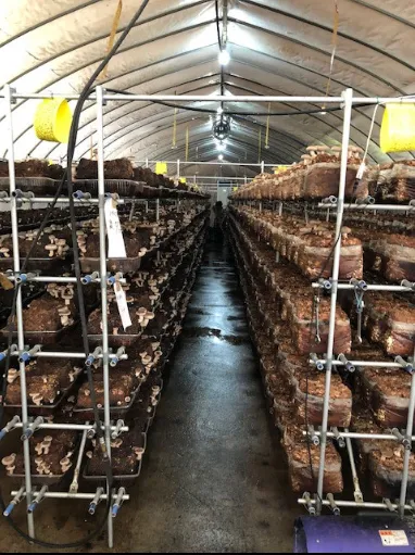 株式会社飛騨しいたけ