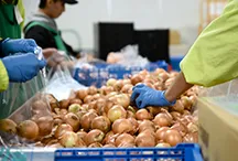 フォーライフｓｈｉｋｉ