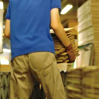 ネクストステージエイブル