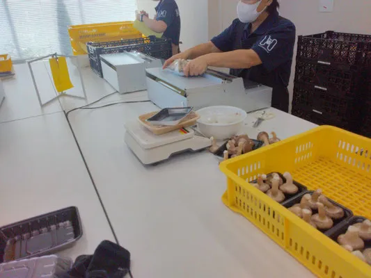 希望の種　寺方事業所