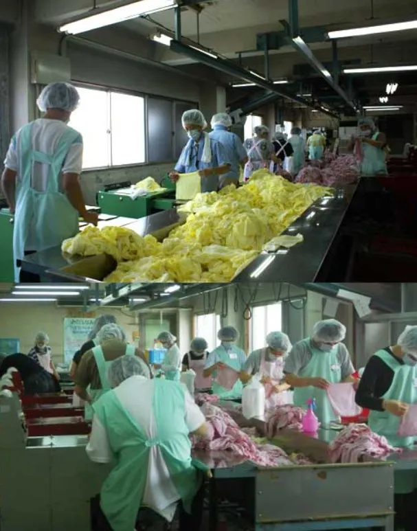 一圭会深江事業所