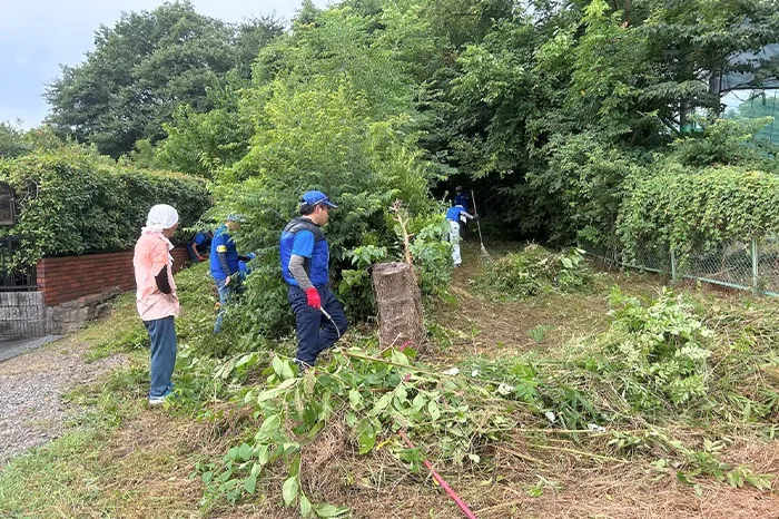 Ｋａｋｏｇａｗａ　Ｄｒｅａｍ