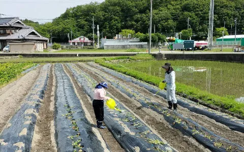 株式会社Ｚｅｎｋｏｕ