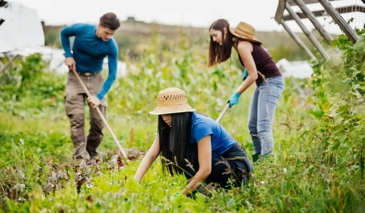 レイモンドカレッジ
