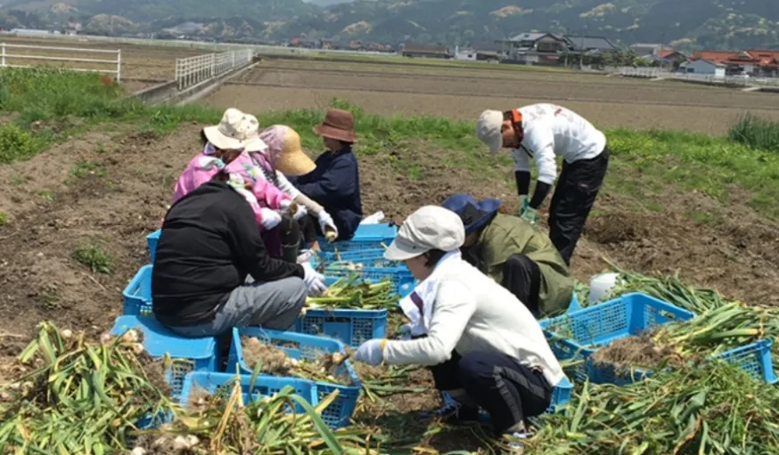 おもやいファーム