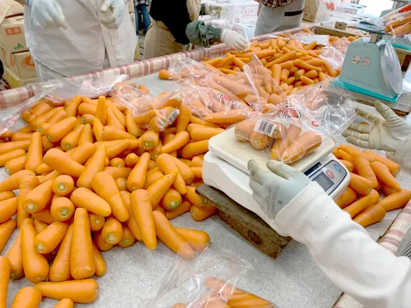 フレンドシップ