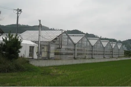 ウイズユー下段グリーンファーム