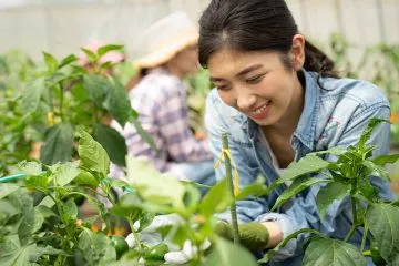 自律支援型就労マーレ