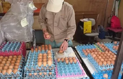 多機能事業所ワークくわの木金城第２事業所