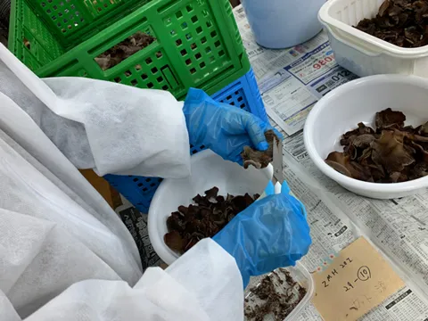 ワークショップ白壁