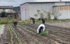 ふぁみりーあっぷ