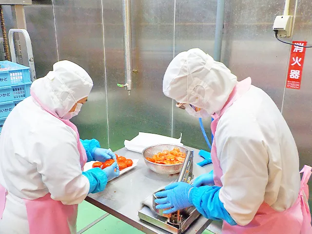 就労継続支援A型　Turbo