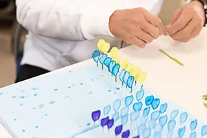 スキルアップ・プロ