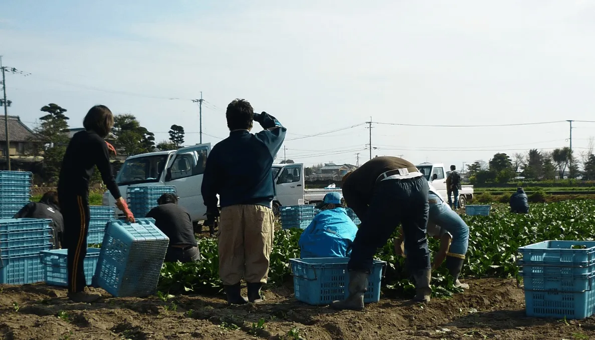 Ｋ’ｓファーム