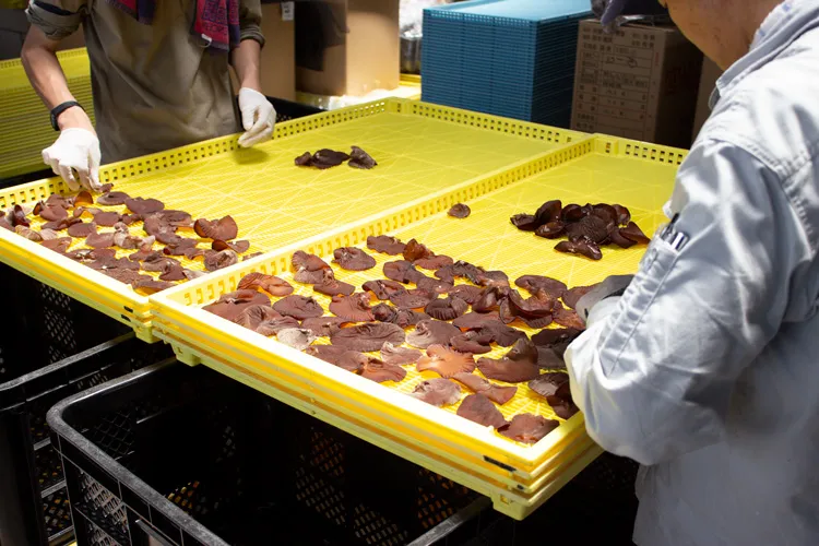 就労継続支援Ａ型Ｂ型事業所　ふれあいワーク山江