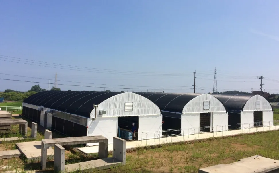 きのこセンター翼