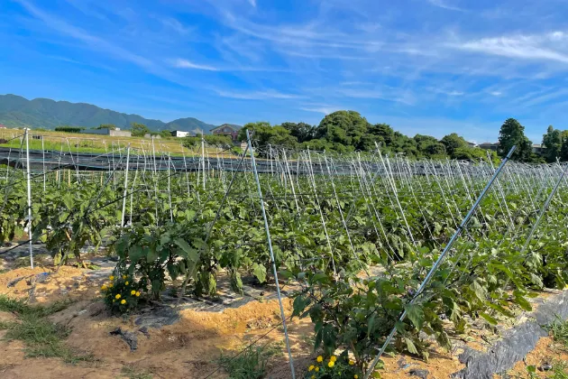 なないろワーク