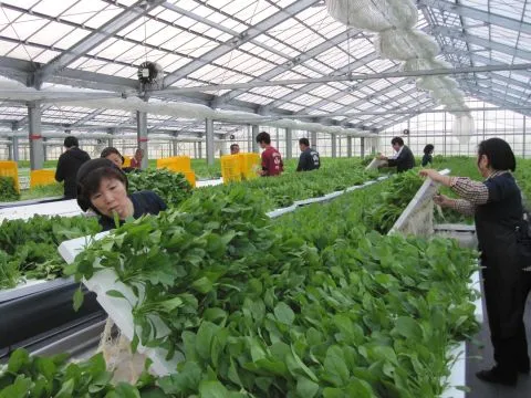 野菜ランドみやこ