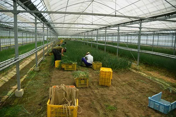 特定非営利活動法人　三保の杜作業所