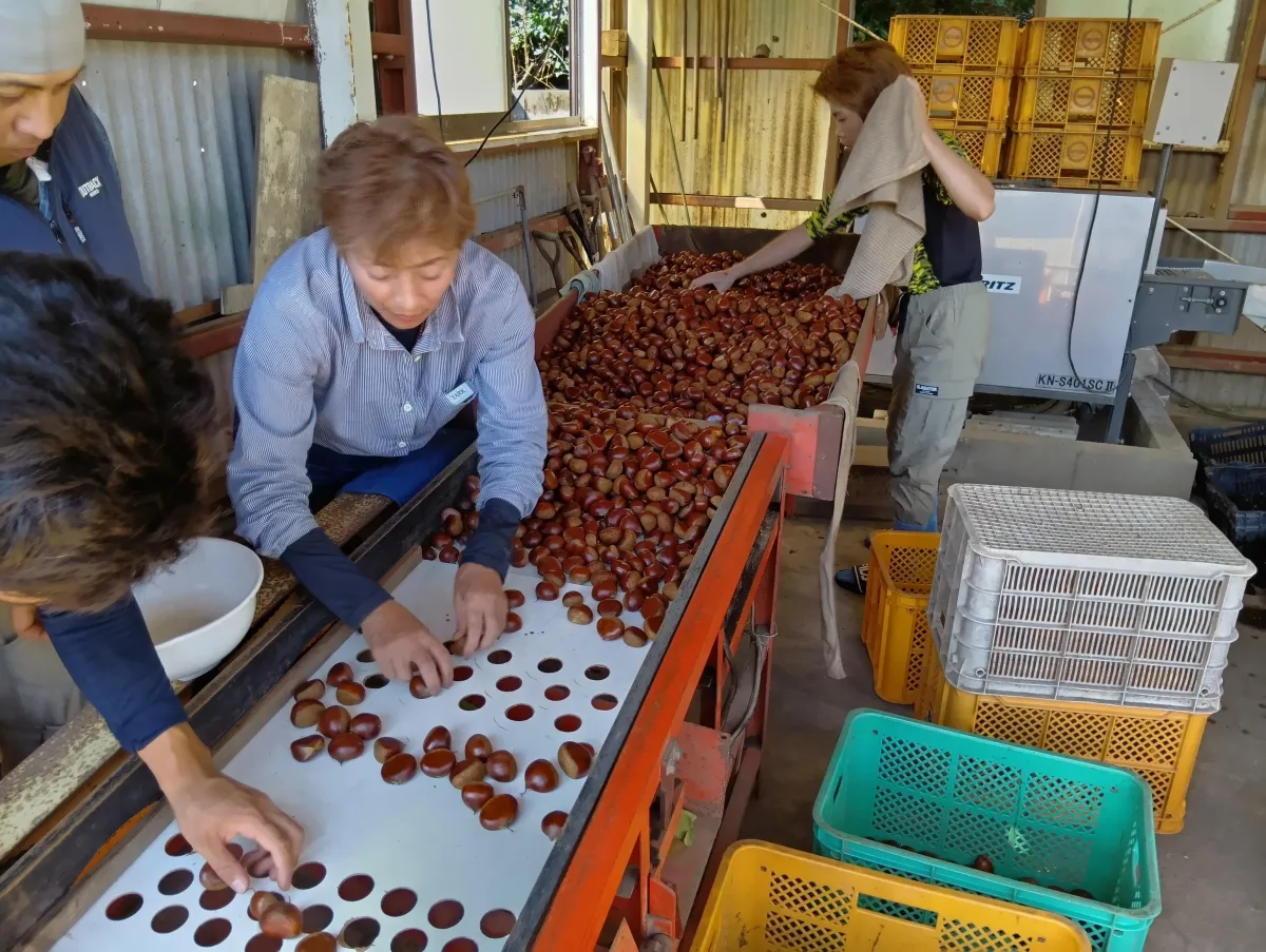 障害者支援センター　あじ菜工房