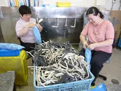 社会就労センター　きたざと