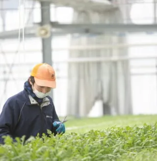 美輪湖マノーナファーム