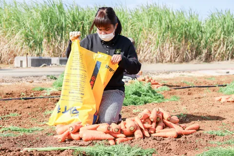 障害者就労支援施設イノー