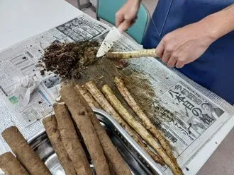 さーくるわーく