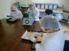 やまはなワークス（Ｂ）