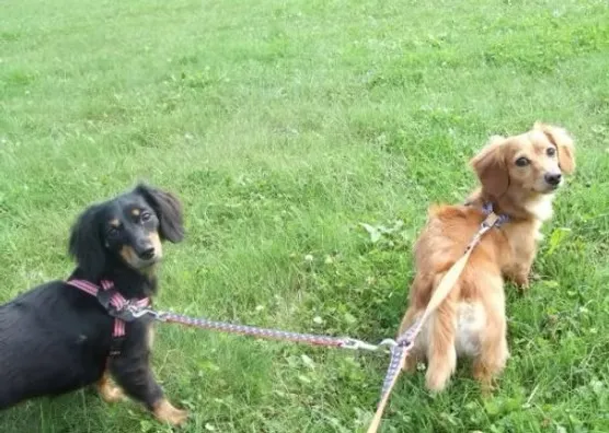 就労継続支援Ｂ型事業所　ククア