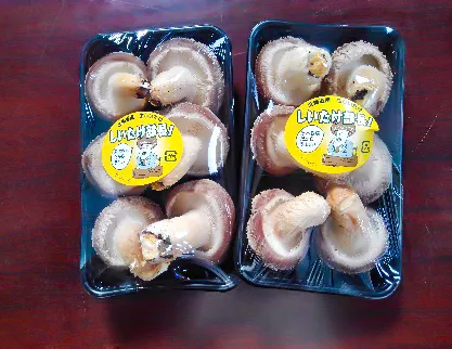 しいたけファクトリー