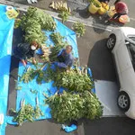 共同作業所・ＨＡＰＰＹ