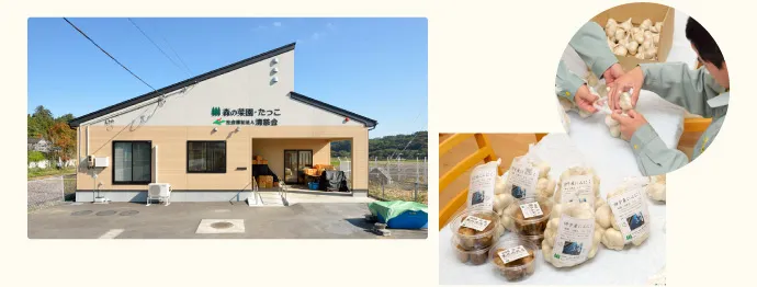 森の菜園・たっこ