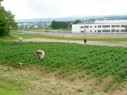 ワークセンター　きずな