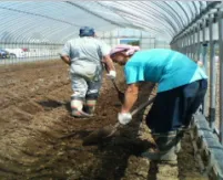 ワークサポート八晃園