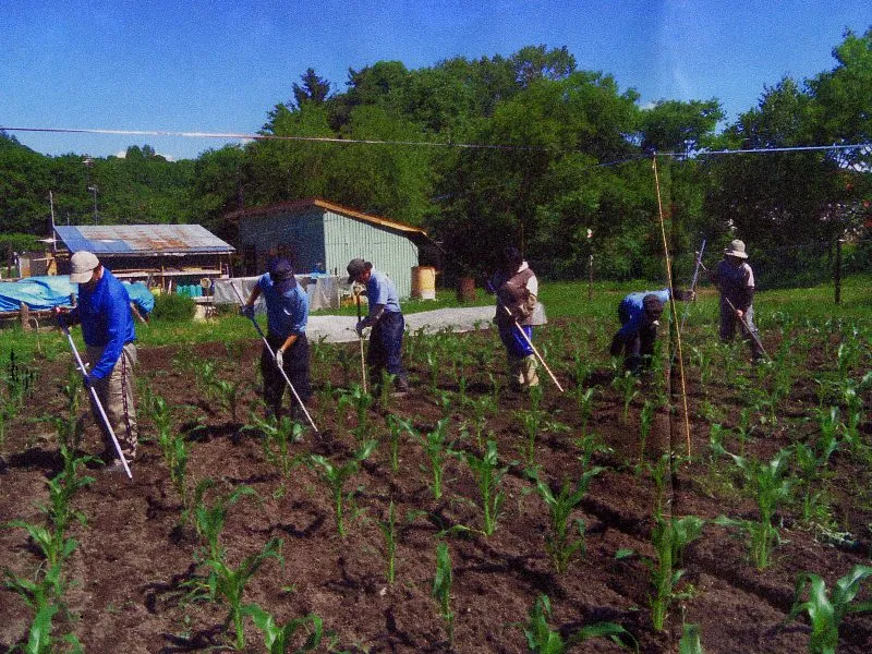 ふれあい共同作業所