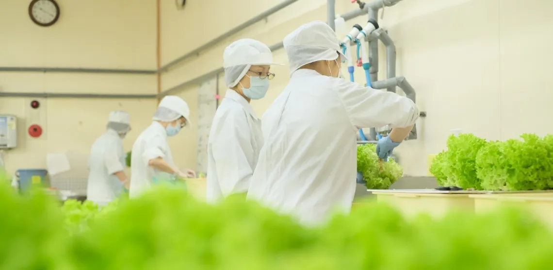 指定就労継続支援Ｂ型事業所そだてらす