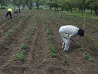 青森コロニーリハビリ