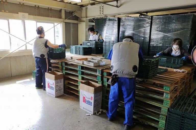 就労支援Ｂ型事業所　ビッグサン