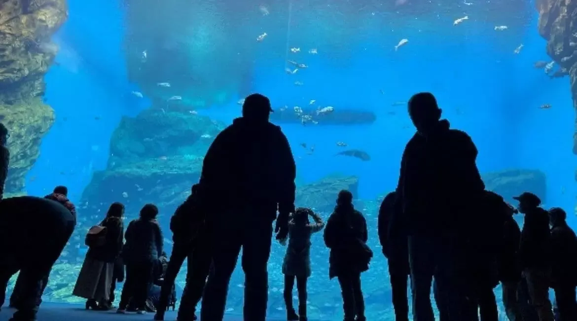 ワークスつばさ