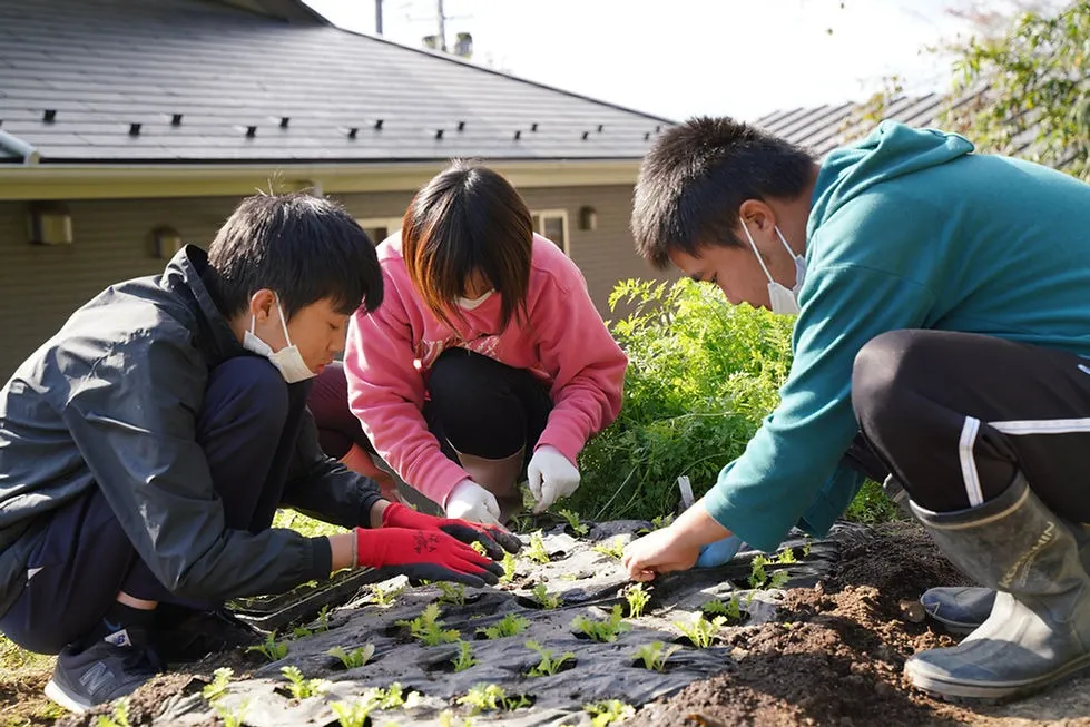 Ｓｅｅｄ　Ｃｏｍｐａｎｙ